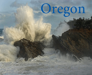 Oregon State postcard section